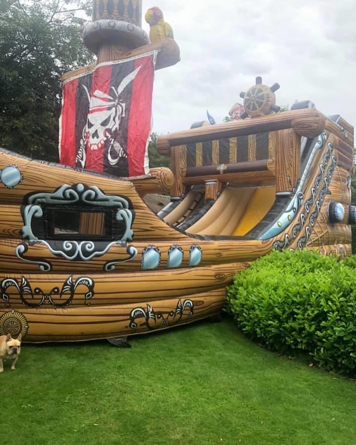 108001162_297627158053944_753952530346176951_n